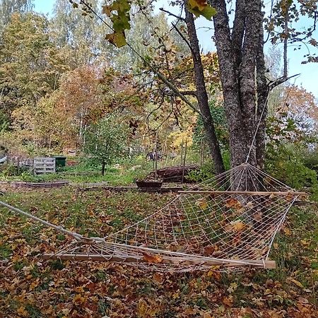 Bobackan Pihatorppa Hauholla Alvettula Kültér fotó
