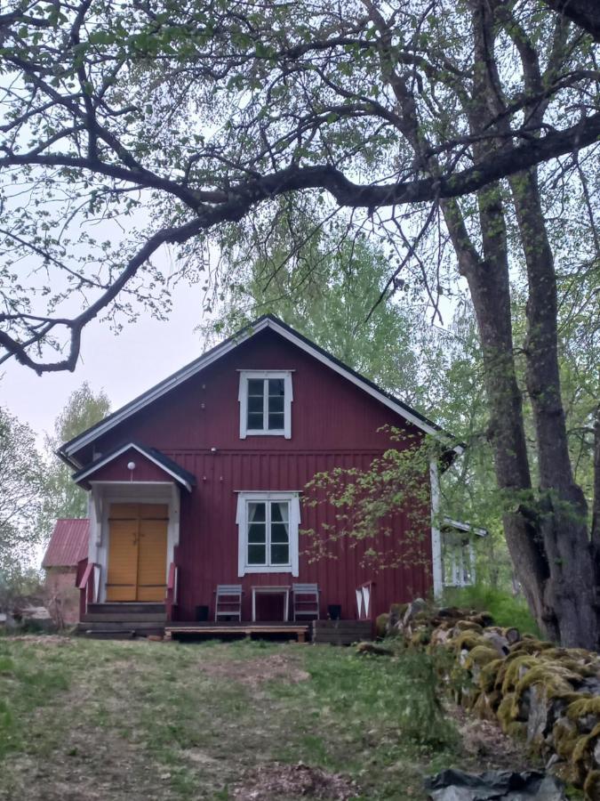 Bobackan Pihatorppa Hauholla Alvettula Kültér fotó