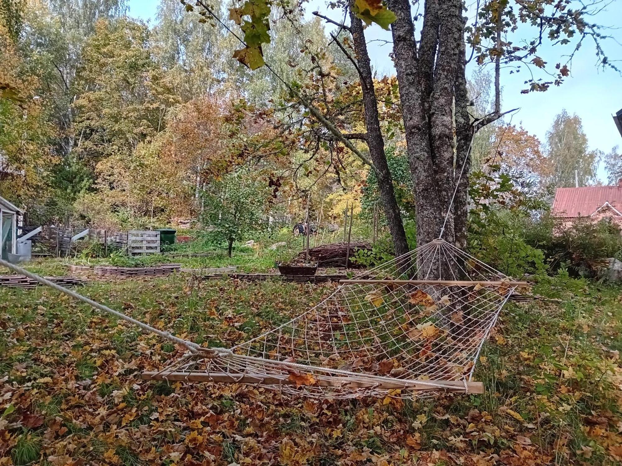 Bobackan Pihatorppa Hauholla Alvettula Kültér fotó